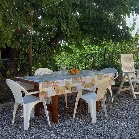 Appartamento Bellavista Castellina Marittima Exterior photo